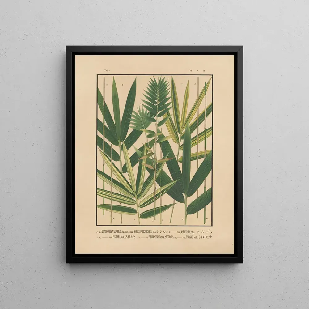 Gemälde Ikonen der Bambusse aus Japan Pl06 - Yasuyoshi Shirasawa | Kunstdruck