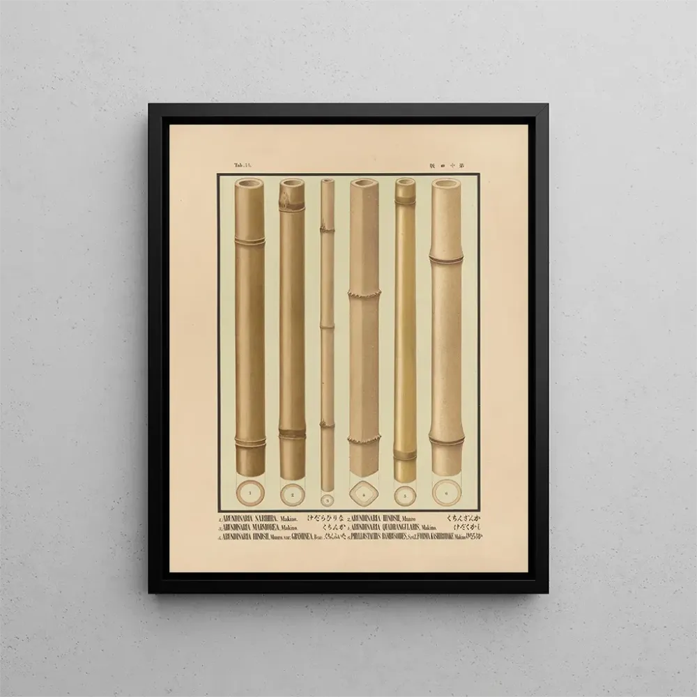 Gemälde Ikonen der Bambusse aus Japan Pl14 - Yasuyoshi Shirasawa | Kunstdruck