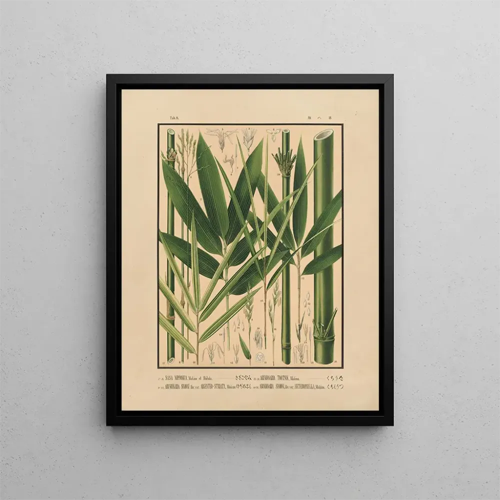 Gemälde Ikonen der Bambusse Japan Pl08 - Yasuyoshi Shirasawa | Kunstdruck