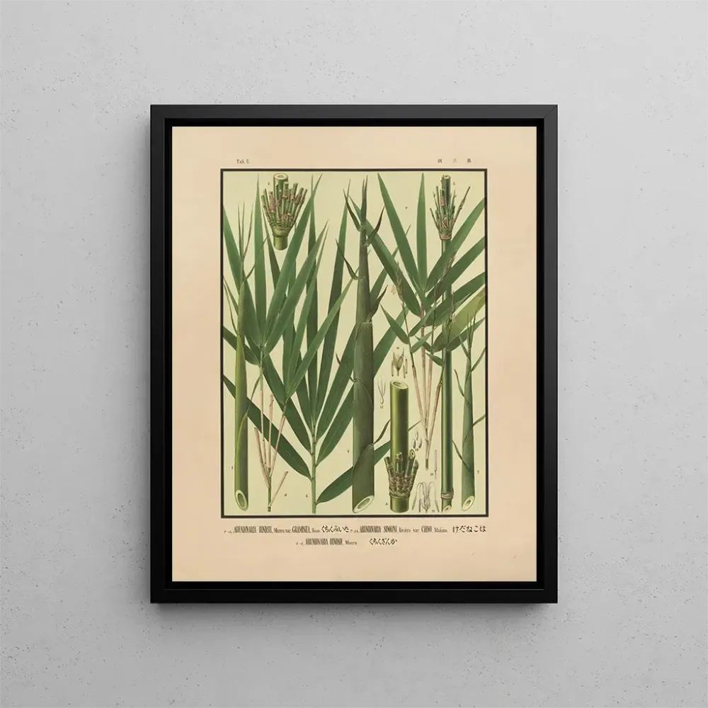 Gemälde Ikonen der Bambusse Japans Pl05 - Yasuyoshi Shirasawa | Kunstdruck