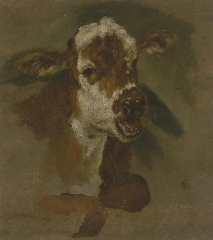 Gemälde Kopf des Viehs - Adriaen van de Velde | Kunstdruck
