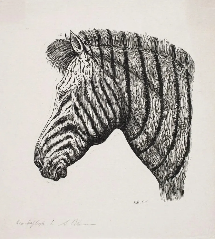 Gemälde Kopf des Zebras - Alexander Blom | Kunstdruck