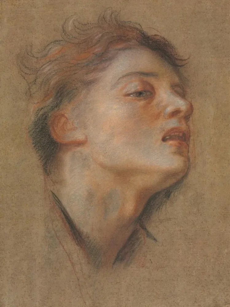 Gemälde Kopf eines jungen Mannes - Antoine Coypel | Kunstdruck