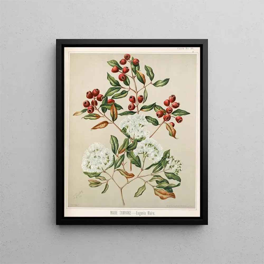 Gemälde Maire Tawhake Eugenia maire - Sarah Featon | Kunstdruck