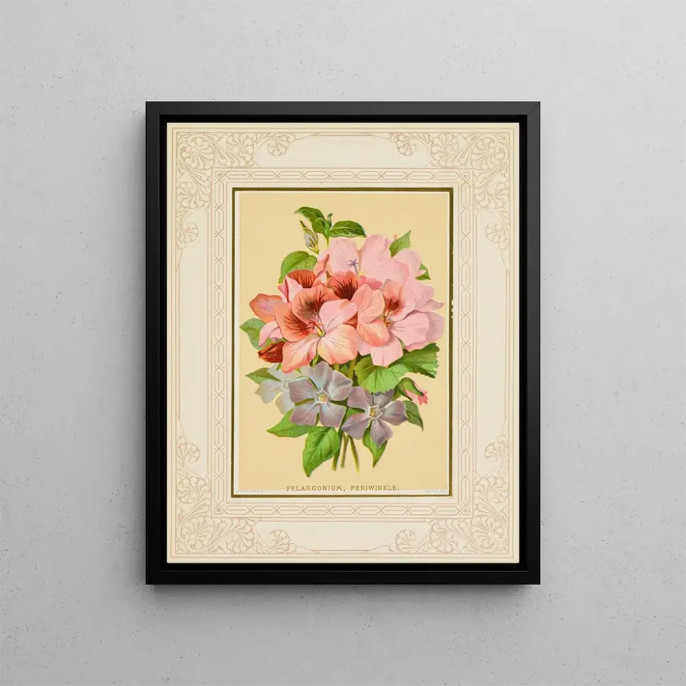 Gemälde Pélargonium, Veilchen - Marcus Ward & Co. | Kunstdruck