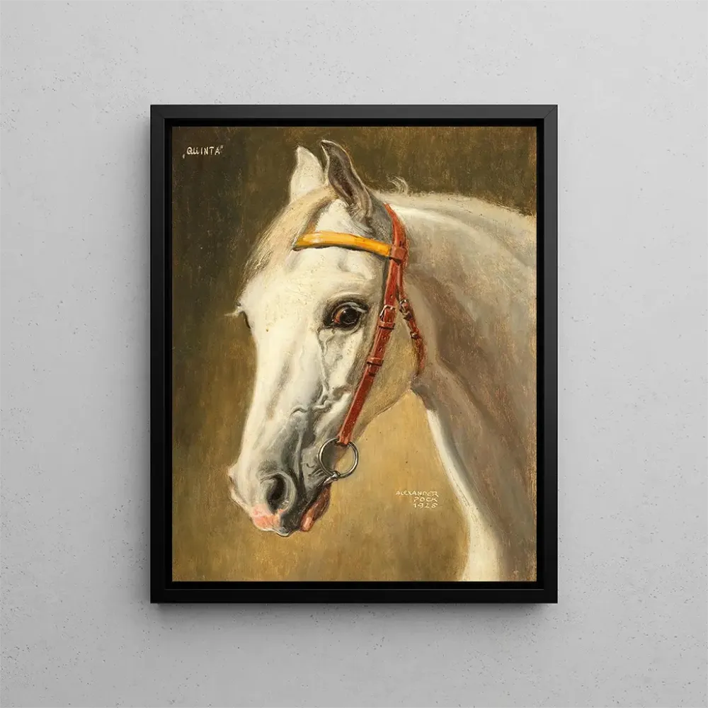 Gemälde Portrait de cheval Quinta - Alexander Pock | Kunstdruck