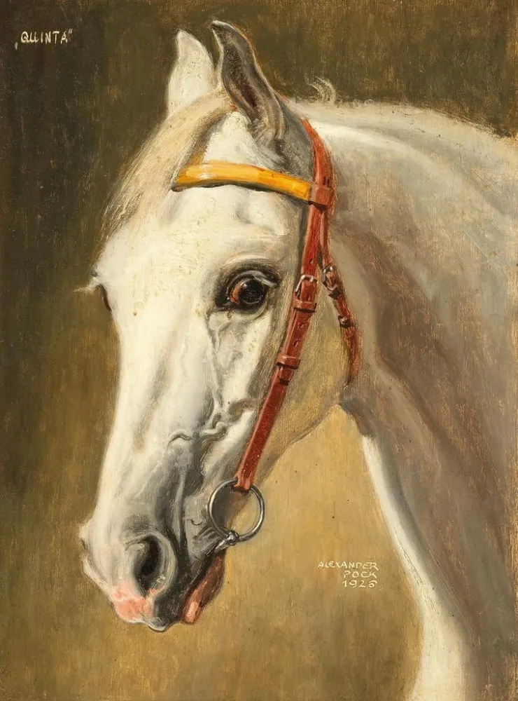 Gemälde Portrait de cheval Quinta - Alexander Pock | Kunstdruck