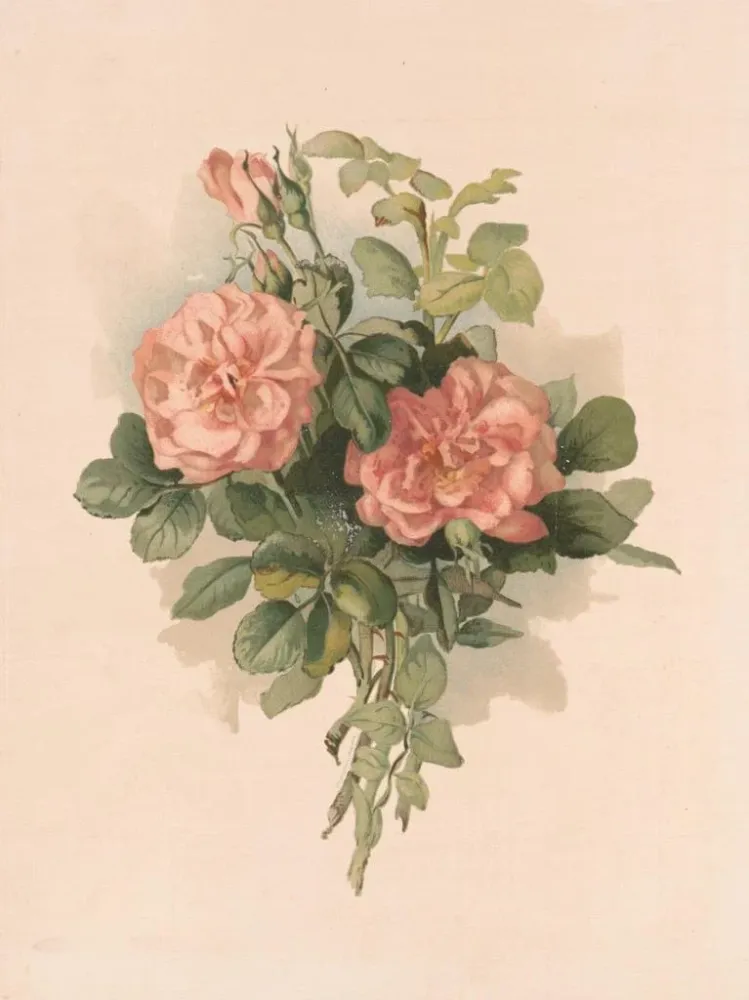 Gemälde Rosen Rouge - Annie Nowell | Kunstdruck