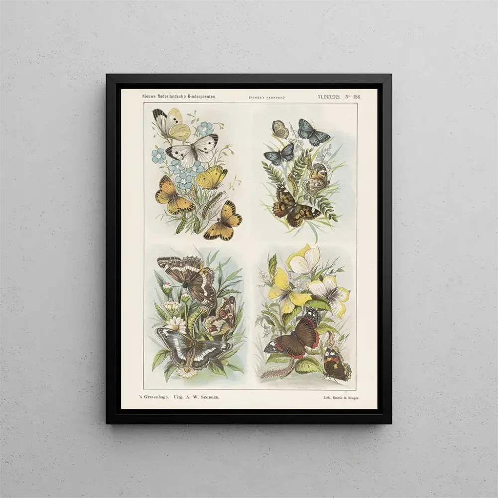 Gemälde Schmetterlinge - Emrik Binger | Kunstdruck