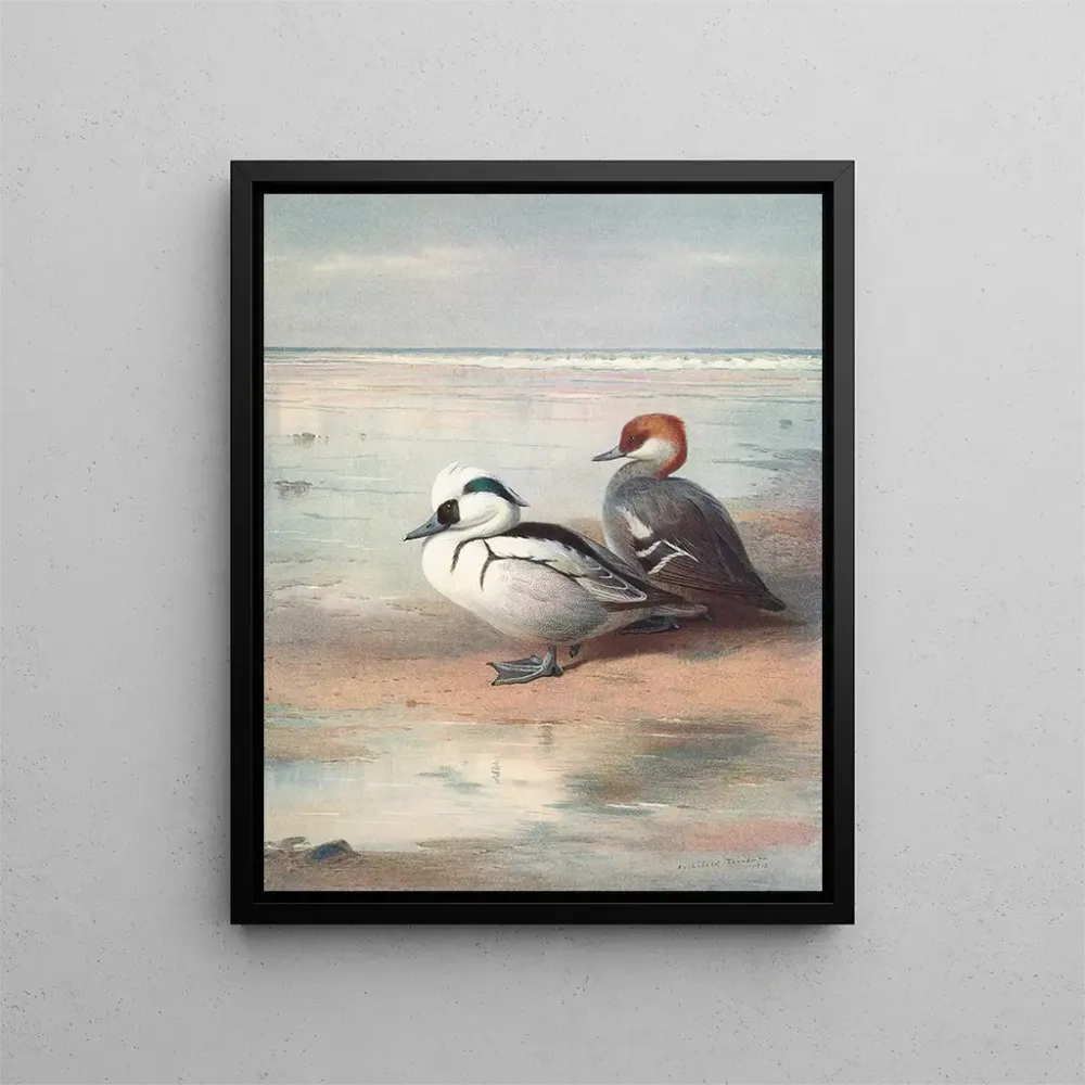 Gemälde Smew - Archibald Thorburn | Kunstdruck