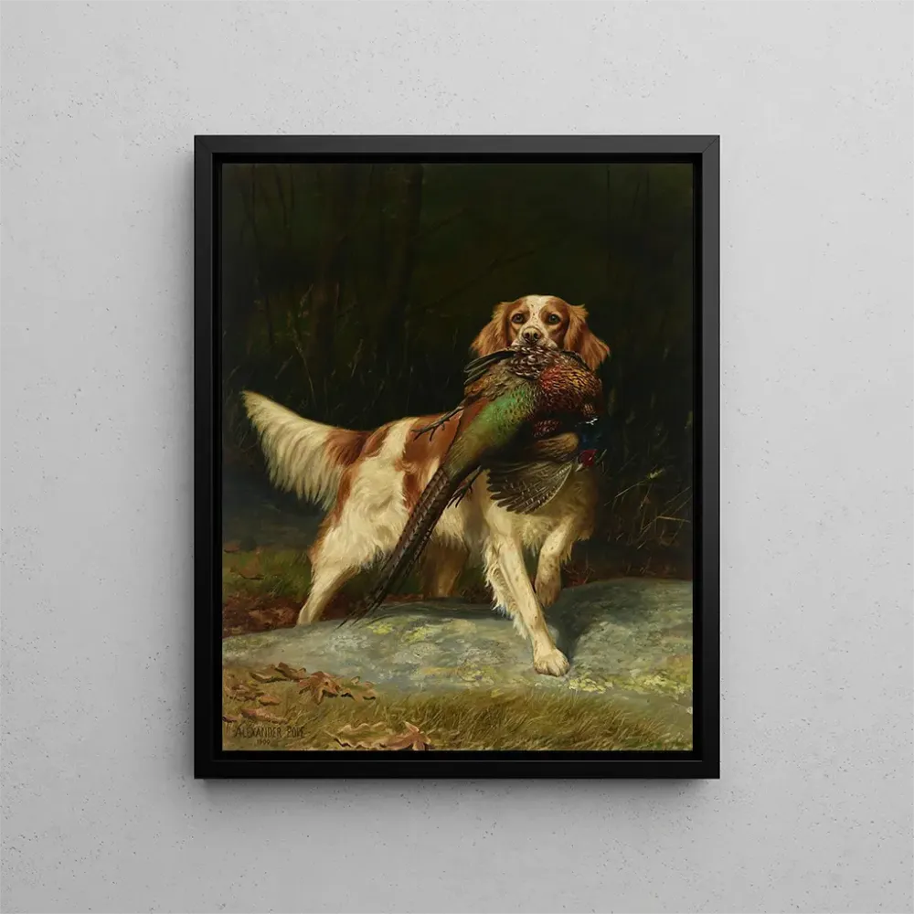 Gemälde Springer Spaniel mit Fasan - Alexander Pope | Kunstdruck