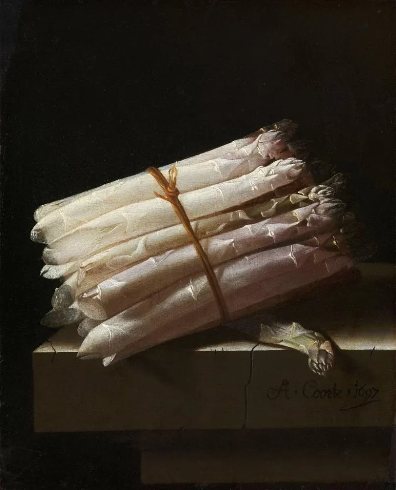 Gemälde Stillleben mit Spargeln - Adriaen Coorte | Kunstdruck
