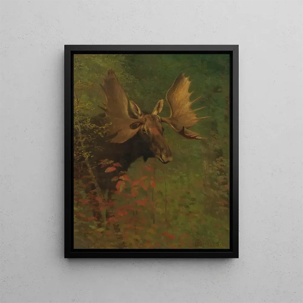 Gemälde Studie eines Elans - Albert Bierstadt | Kunstdruck