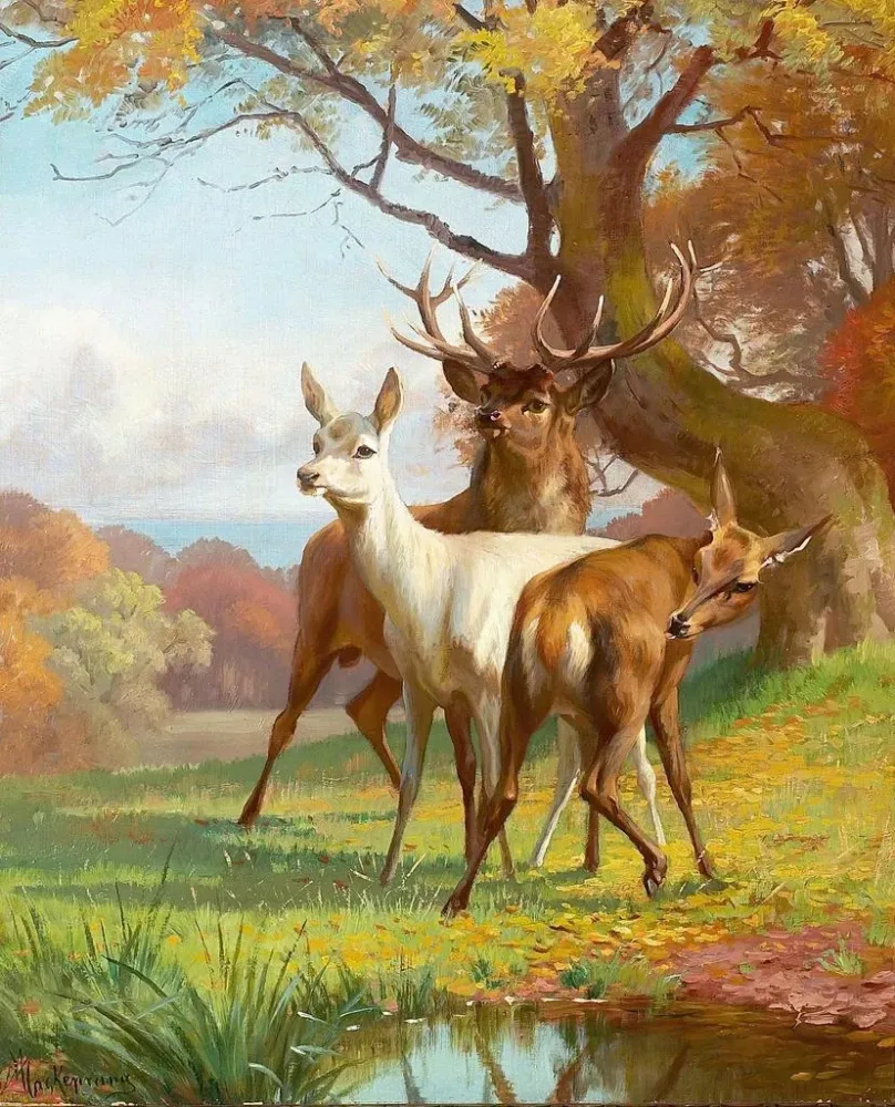 Gemälde Terrain forestier avec gibier sauvage - Adolf Mackeprang | Kunstdruck