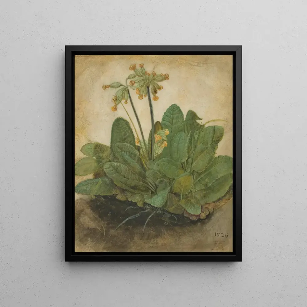Gemälde Touffe de primevères - Albrecht Dürer | Kunstdruck