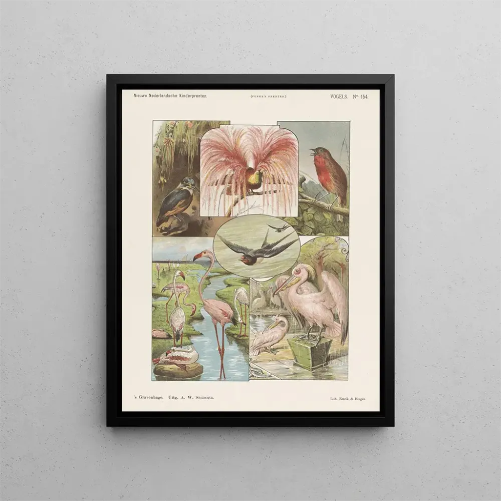 Gemälde Vögel - Emrik Binger | Kunstdruck