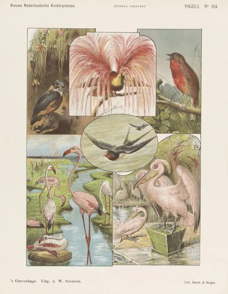 Gemälde Vögel - Emrik Binger | Kunstdruck