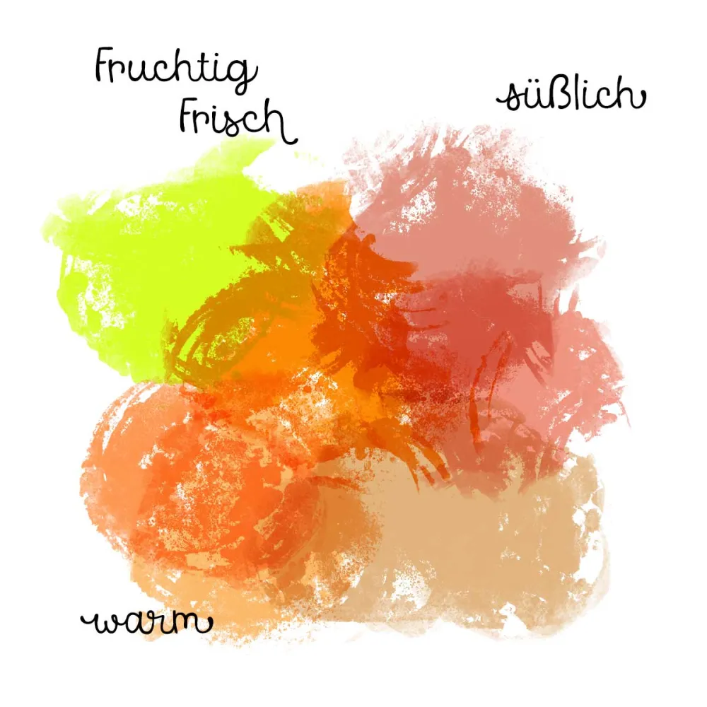 Herbosense Räucherstäbchen Orange Zimt