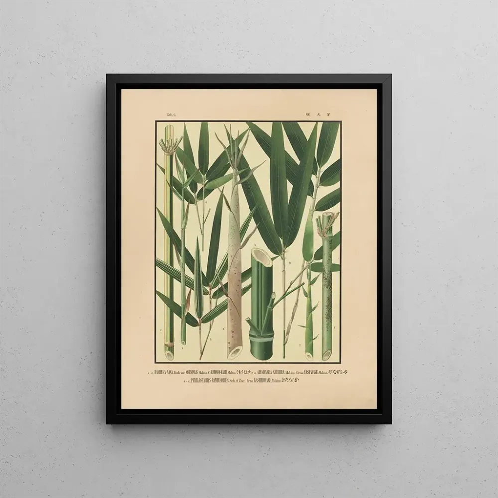 Japanische Bambus-Ikonen Gemälde Pl09 - Yasuyoshi Shirasawa | Kunstdruck