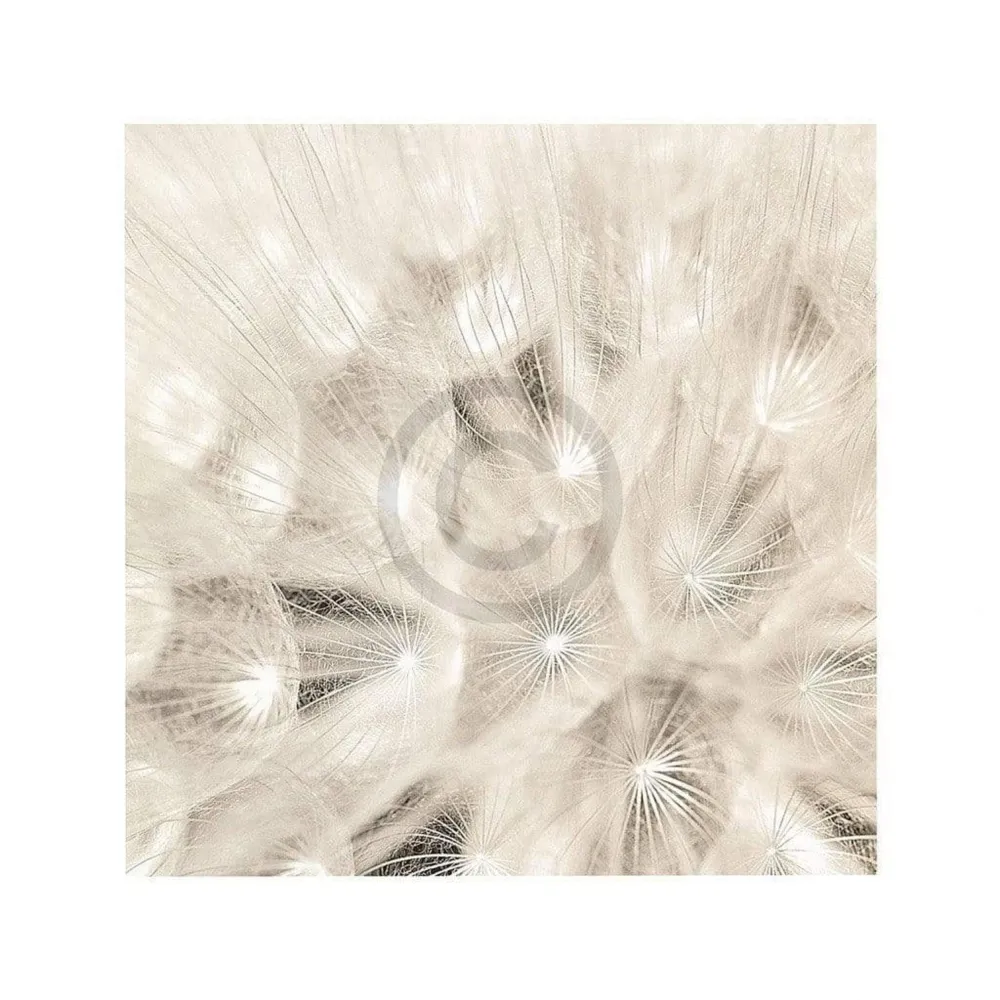 Kunstdruck Adam Brock - On Breeze 51x51cm