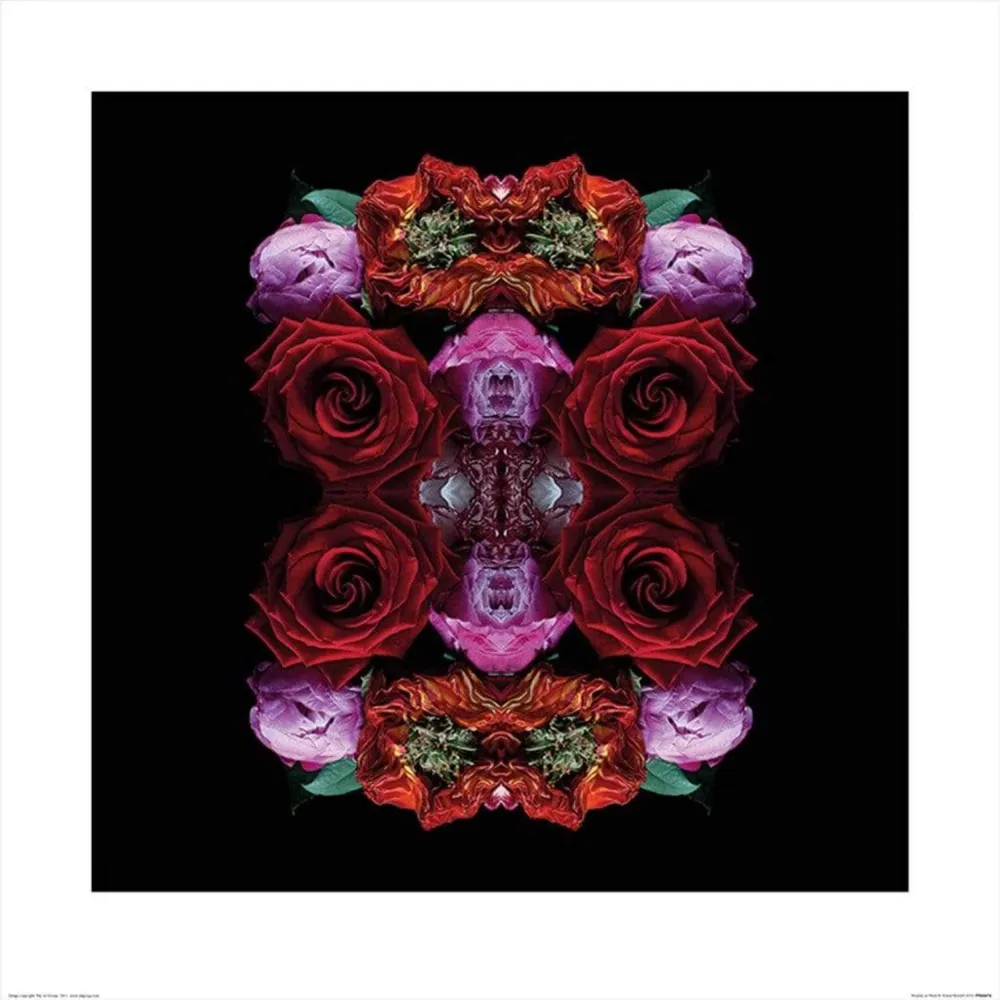 Kunstdruck Alyson Fennell - Paradise Petals 60x60cm