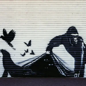 Kunstdruck Banksy - Gorilla London Zoo 70x50cm