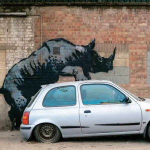Kunstdruck Banksy - Nashorn 70x50cm