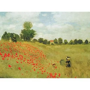 Kunstdruck Claude Monet - Papaveri 50x40cm