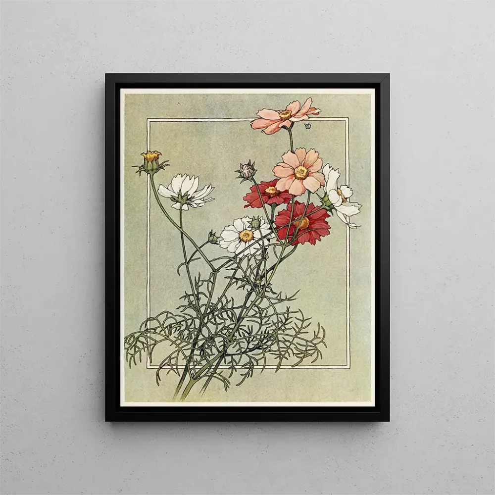 Kunstdruck Cosmos - Alice W. Donaldson | Kunstdruck
