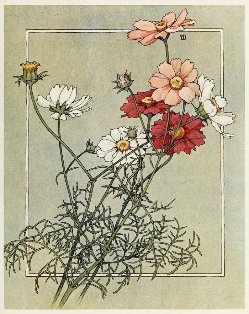 Kunstdruck Cosmos - Alice W. Donaldson | Kunstdruck