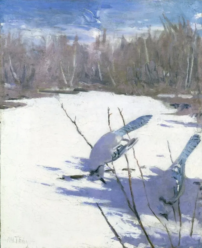 Kunstdruck Das Blauhäher im Winter studiert für ein Buch, das die Färbung des Tierreichs verbirgt - Abbott Handerson Thayer
