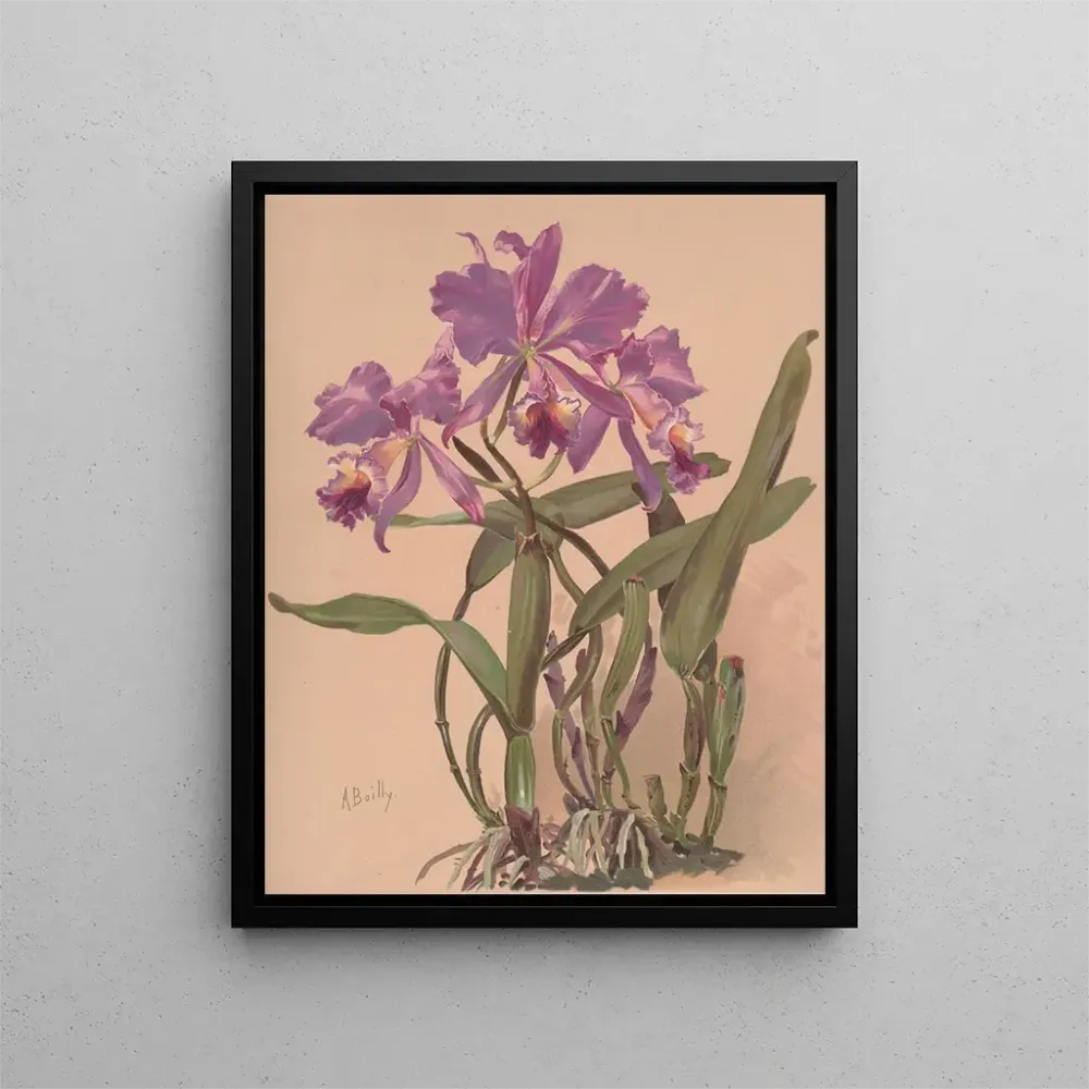 Kunstdruck eines Aquarell-Gemäldes einer Orchidee der Gattung Cattleya - Alice Bailly | Kunstdruck
