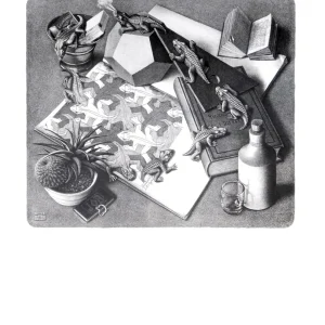 Kunstdruck M. C. Escher - Reptilien 55x65cm