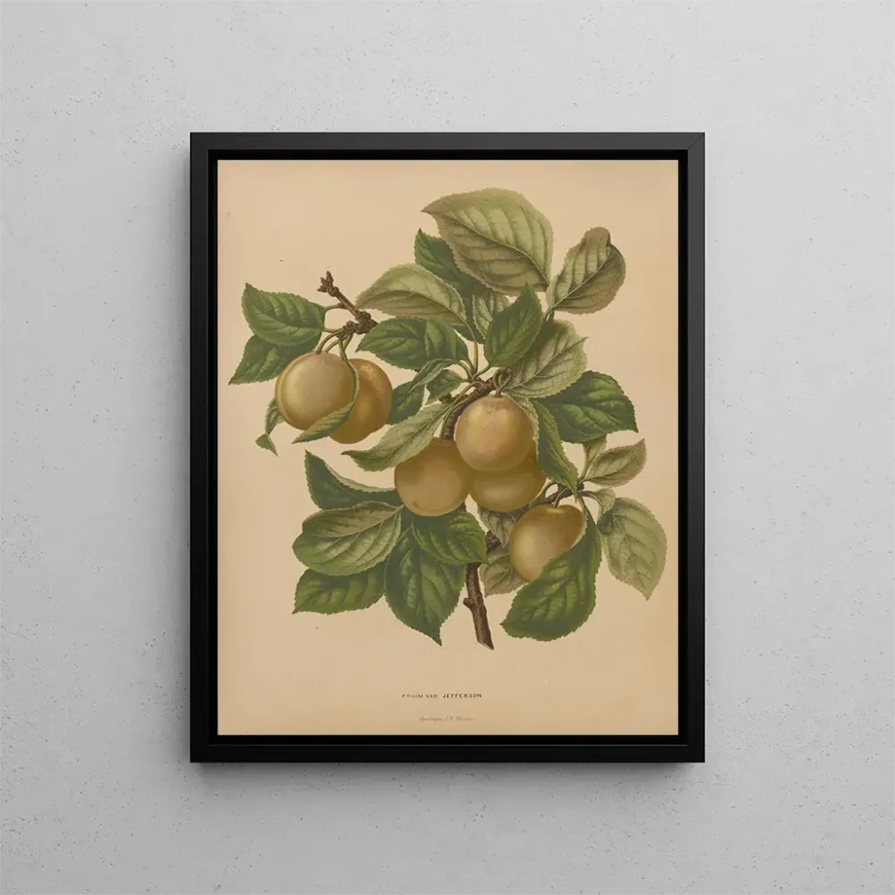 Kunstdruck Flore holländische und Pomone PL77 - Abraham Jacobus Wendel