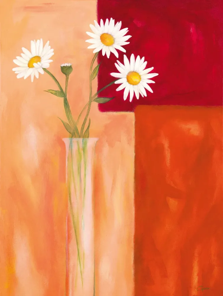Kunstdruck Günter Gohn - Margeriten mit Siena-Braun 60x80cm
