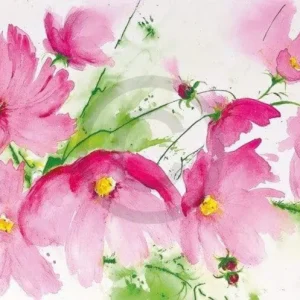 Kunstdruck Heidi Reil - Rosa Kosmeen 100x50cm