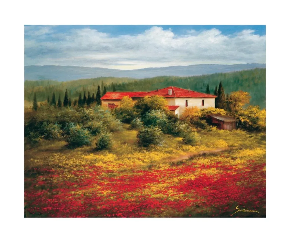 Kunstdruck Heinz Schölnhammer - Landschaft mit Mohn II 60x50cm