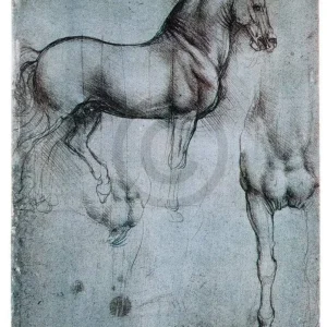 Kunstdruck Leonardo Da Vinci - Studio di cavalli 35x50cm