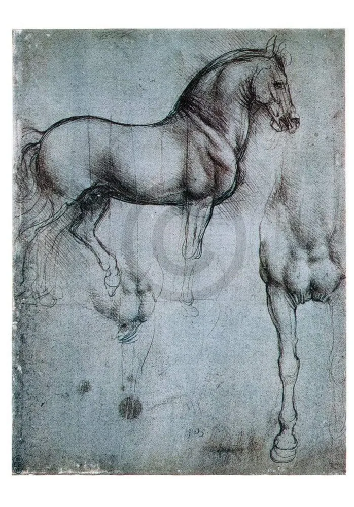 Kunstdruck Leonardo Da Vinci - Studio di cavalli 35x50cm