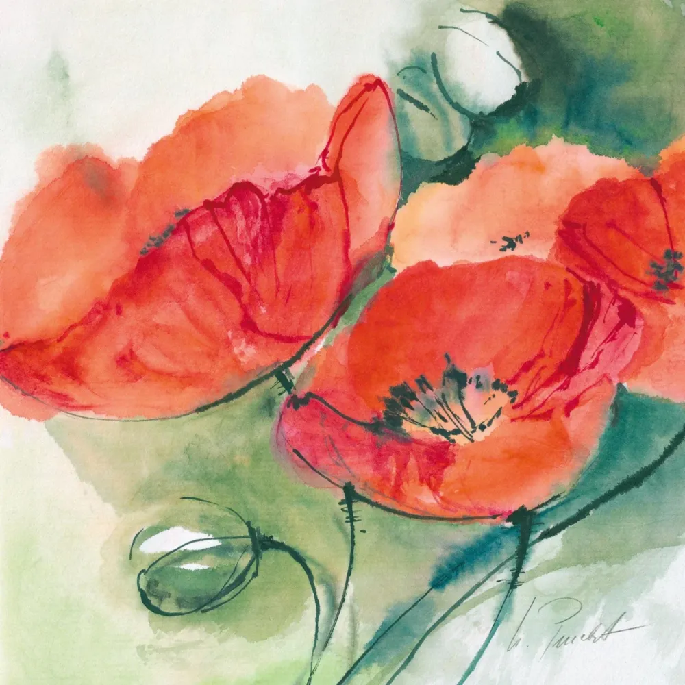 Kunstdruck Marta Peuckert - Mohnblüten 21x21cm