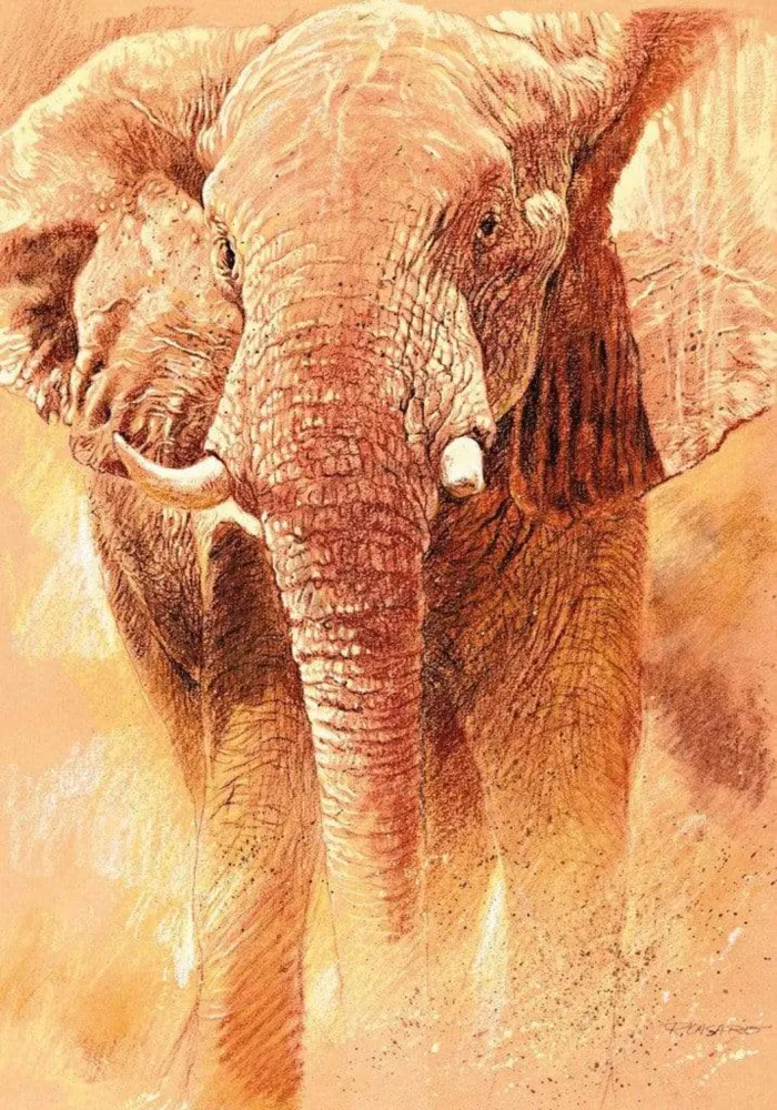 Kunstdruck Renato Casaro - Elefant Study 70x100cm