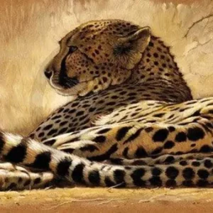 Kunstdruck Renato Casaro - Little rest 99x34cm
