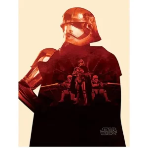 Kunstdruck Star Wars - Episode VII Captain Phasma Tri 60x80cm