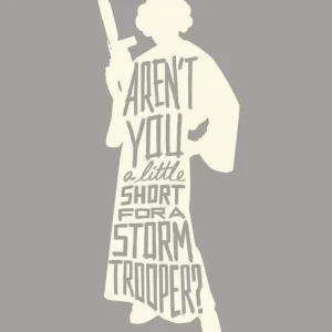 Kunstdruck Star Wars - Silhouette Quotes Leia 40x50cm