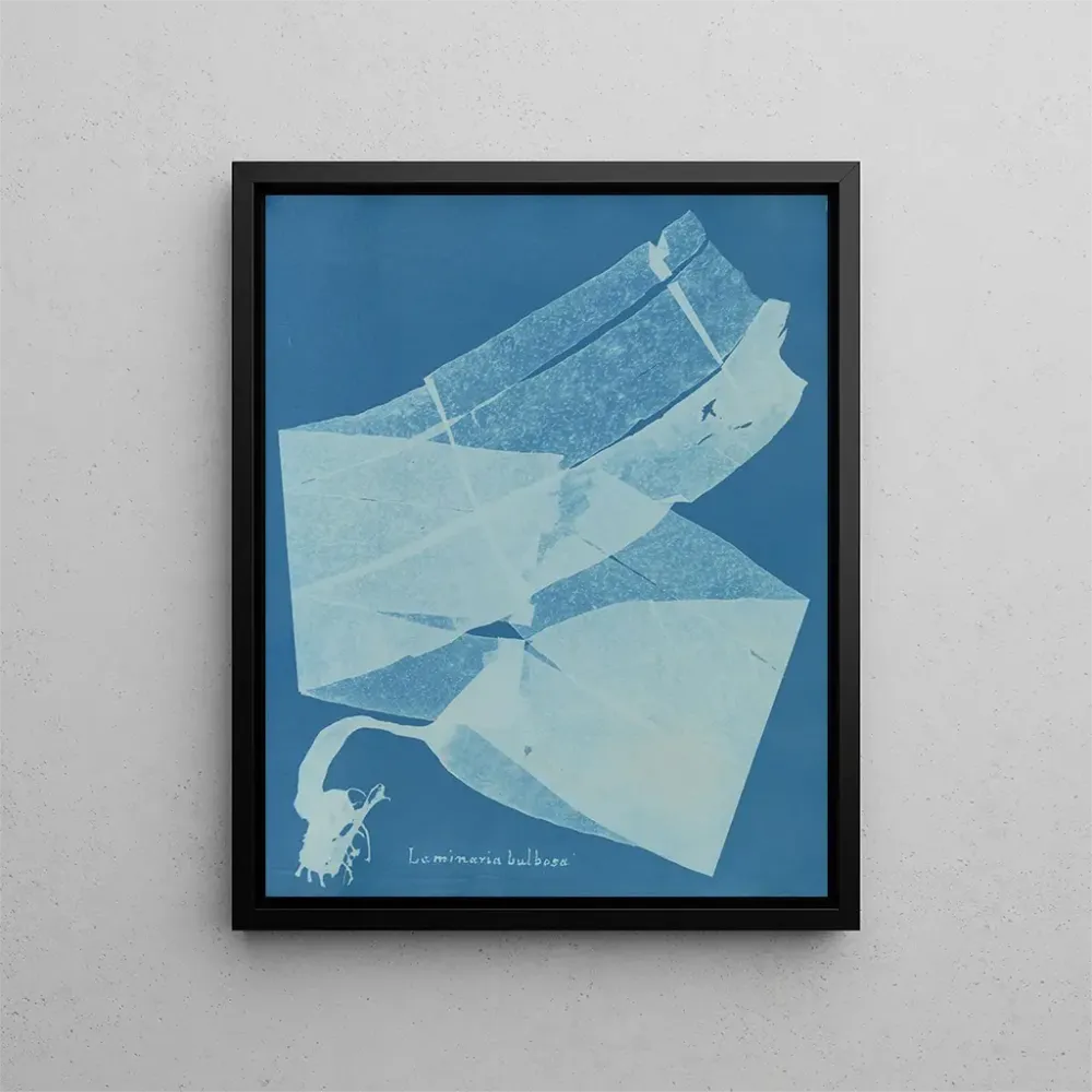 Laminarisches Glühbirnen-Gemälde - Anna Atkins | Kunstdruck