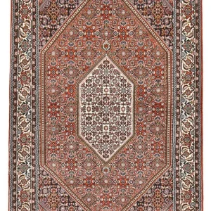 Perserteppich - Bidjar - 188 x 110 cm - rost
