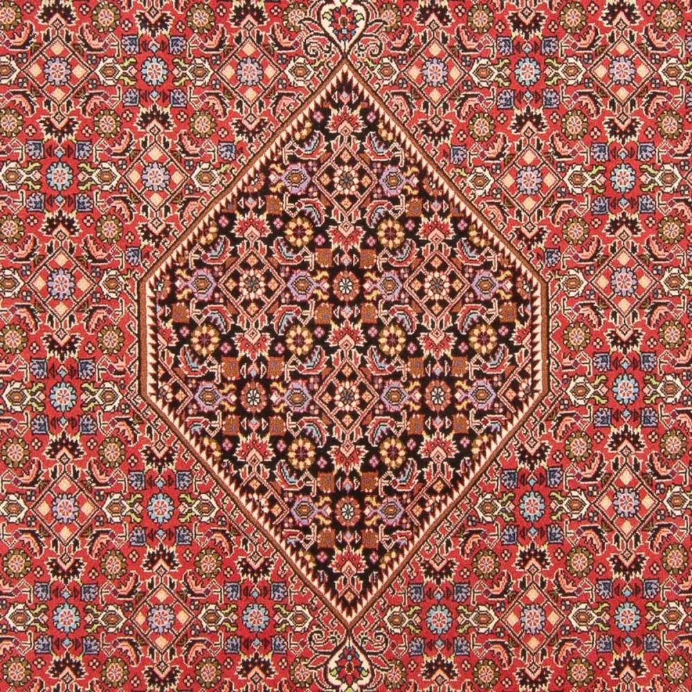 Perserteppich - Bidjar - Royal - 294 x 200 cm - rot
