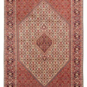 Perserteppich - Bidjar - Royal - 298 x 200 cm - rot
