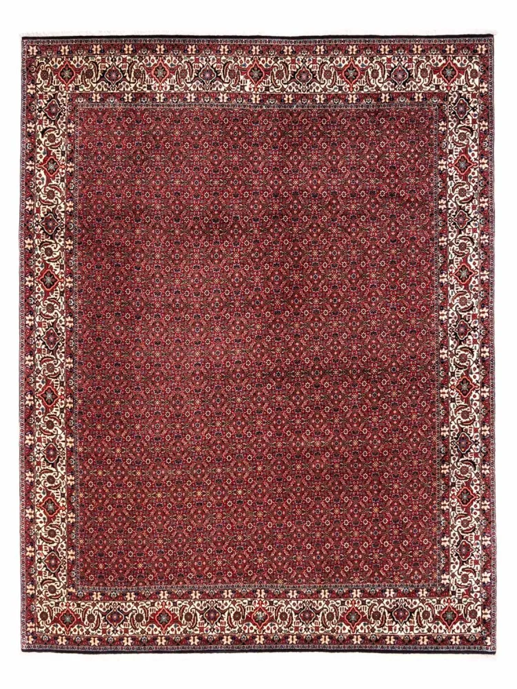 Perserteppich - Bidjar - Royal 331 x 254 cm - rot