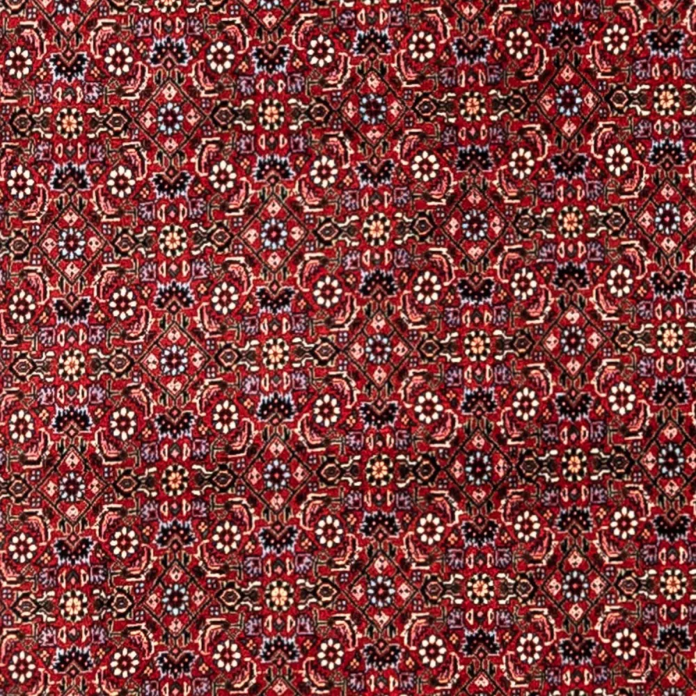 Perserteppich - Bidjar - Royal 331 x 254 cm - rot
